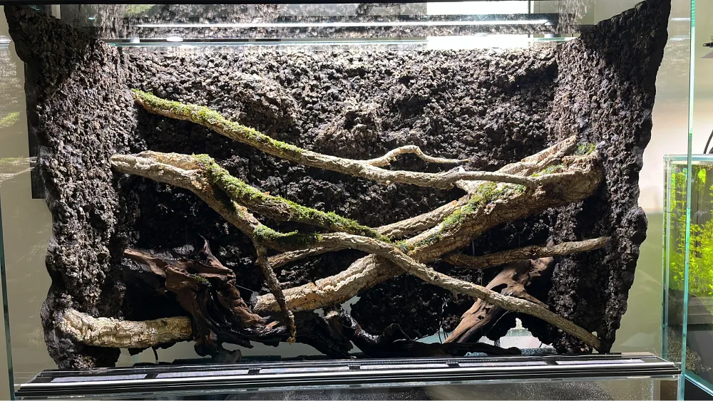 Vivarium Equipment